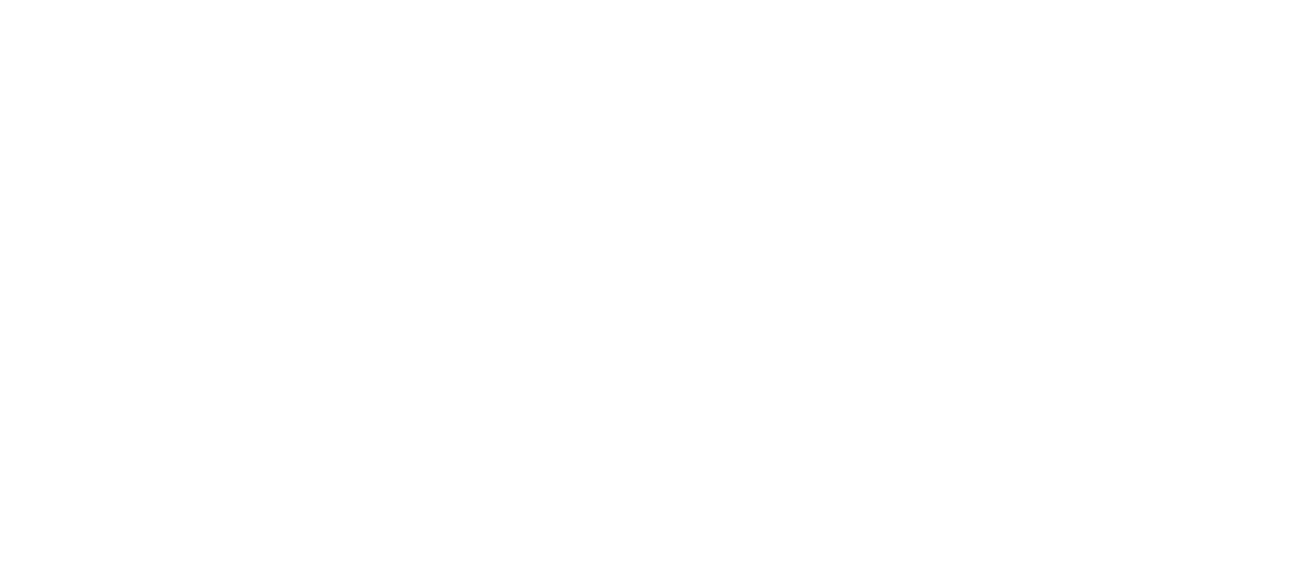 logo inteira branca